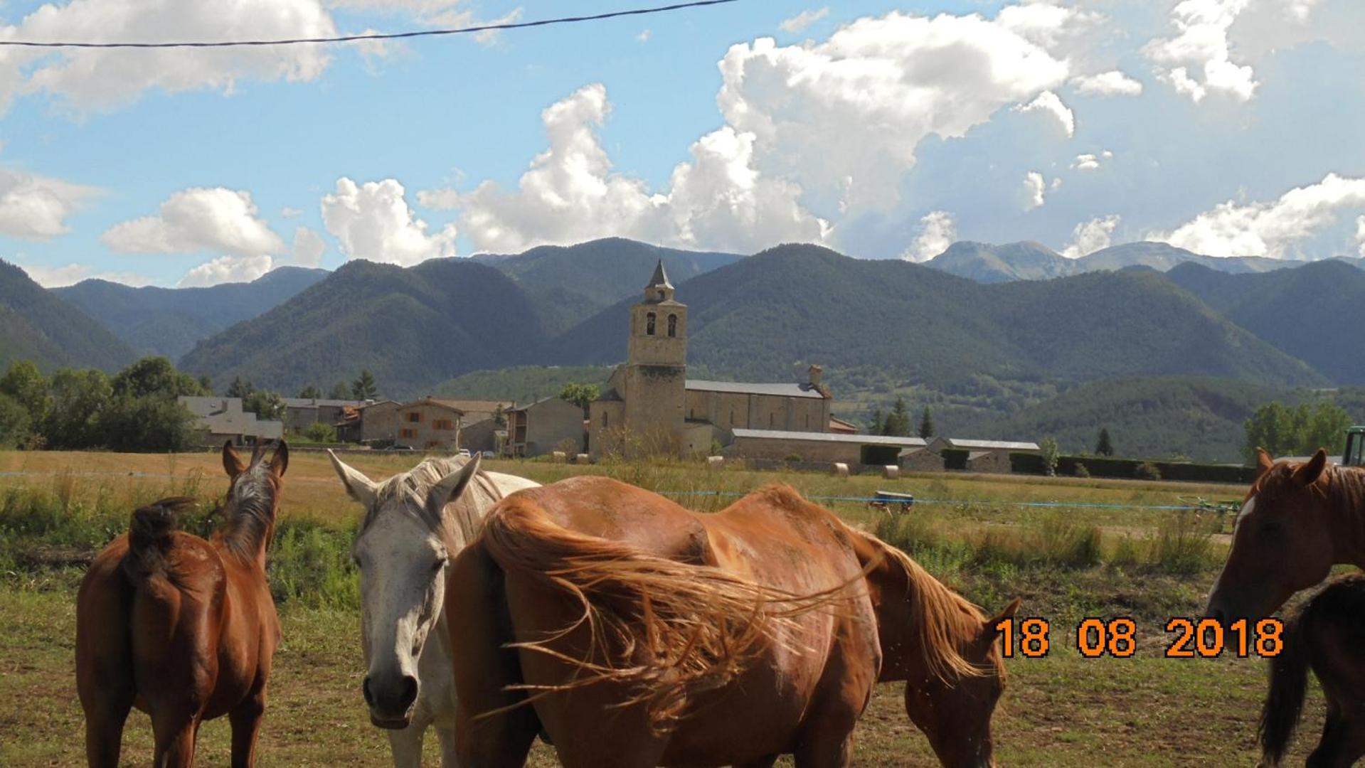 Can Vall Bellver Bellver De Cerdanya ภายนอก รูปภาพ